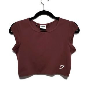 Split Sleeve Gym Shark Crop Top in Burgundy, Sm